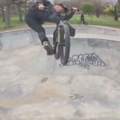 2 for 1: Saint Lys Bowl