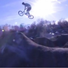 That Barnum Park Life