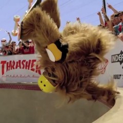 Vans was Off The Wall in 2014