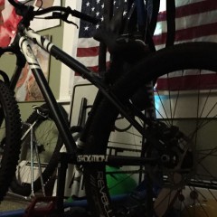 Carlo’s Patriotic Cryptkeeper