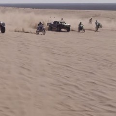 Wonderful World of Wackynes