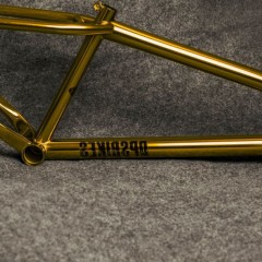 The New DPS Bikes VICI