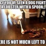 tumblr_n4eunouUkI1so0sfmo1_500