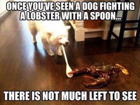 This pic lives at the end of the internet. Nothing more to see here!