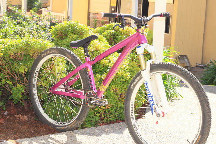 An overview shot of Simon's Polygon TRID Hardtail MTB build.