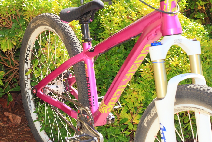 Another angle of the Polygon TRID.