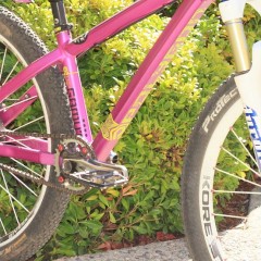 Simon SilverÕs Polygon TRID