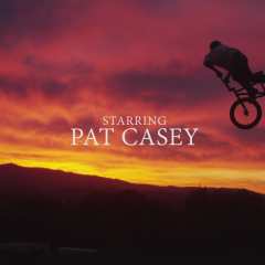 2 for 1: Pat Casey’s Dream Yard