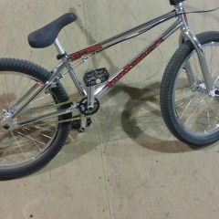 Matt StahlÕs 22? S&M Holmes