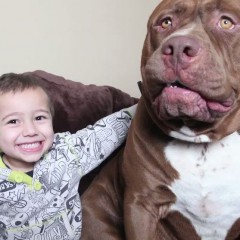 50 Shades of Wackyness