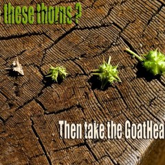 Take the Goathead Challenge
