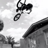 Fake Rips & Shreds the Backyard