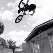 Fake Rips & Shreds the Backyard