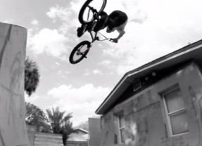 Fake Rips & Shreds the Backyard