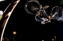 Night Harvest Results